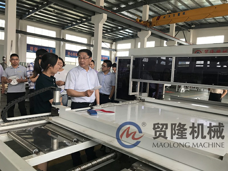 江苏胜游平台制造